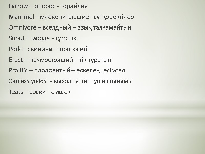 Farrow – опорос - торайлау Mammal – млекопитающие - сүтқоректілер Omnivore – всеядный –